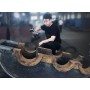 Scanner 3D SHINING 3D EinScan HX