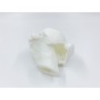 Flashforge Creator 3